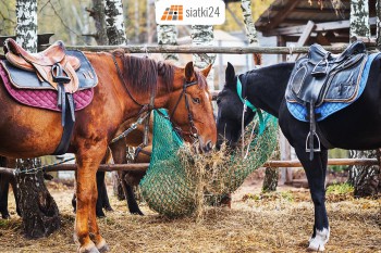 Jarocin Worek na siano — praktyczny i wytrzymały pasznik dla koni Sklep Jarocin